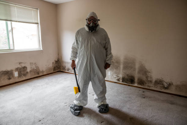 Trusted Cranford, NJ Mold Remediation Experts